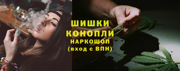 трава Богородицк