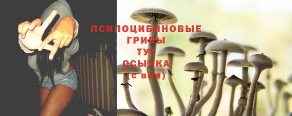 стафф Богородск